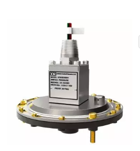 675GS Series Gage Switches