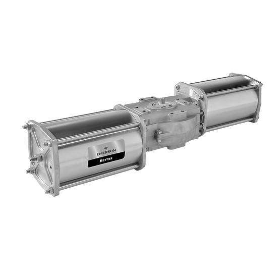 Bettis RGS F-Serisi Scotch Yoke Pnömatik Valf Aktüatörü (Üretimi Durdurulan Ürün)