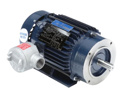 Explosion Proof Motors