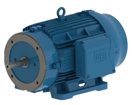 Pump Motors