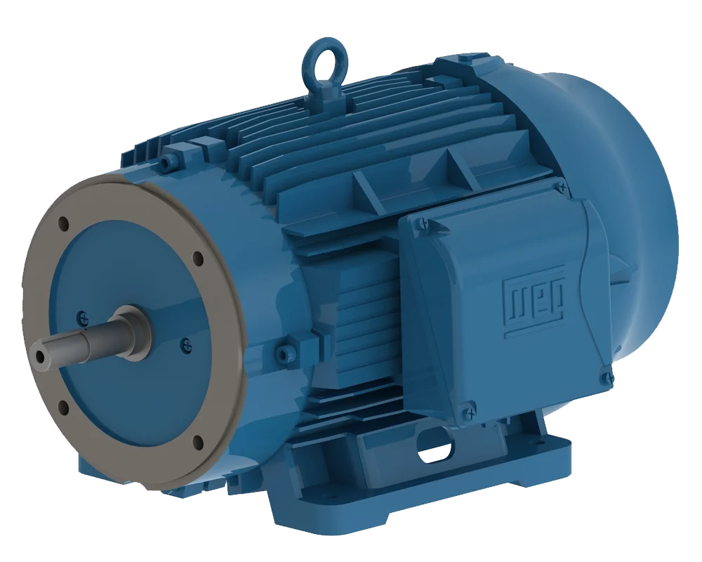 Pump Motors
